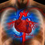 Cardiovascular-150x150.jpg